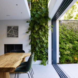 Life on Walls : Full Course