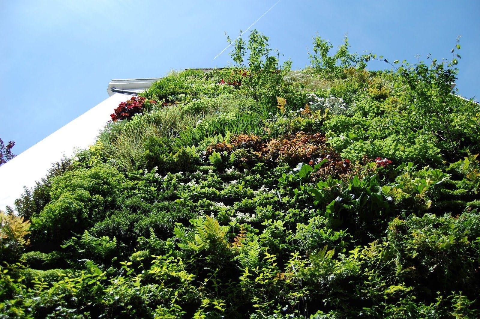 Public-facing facade