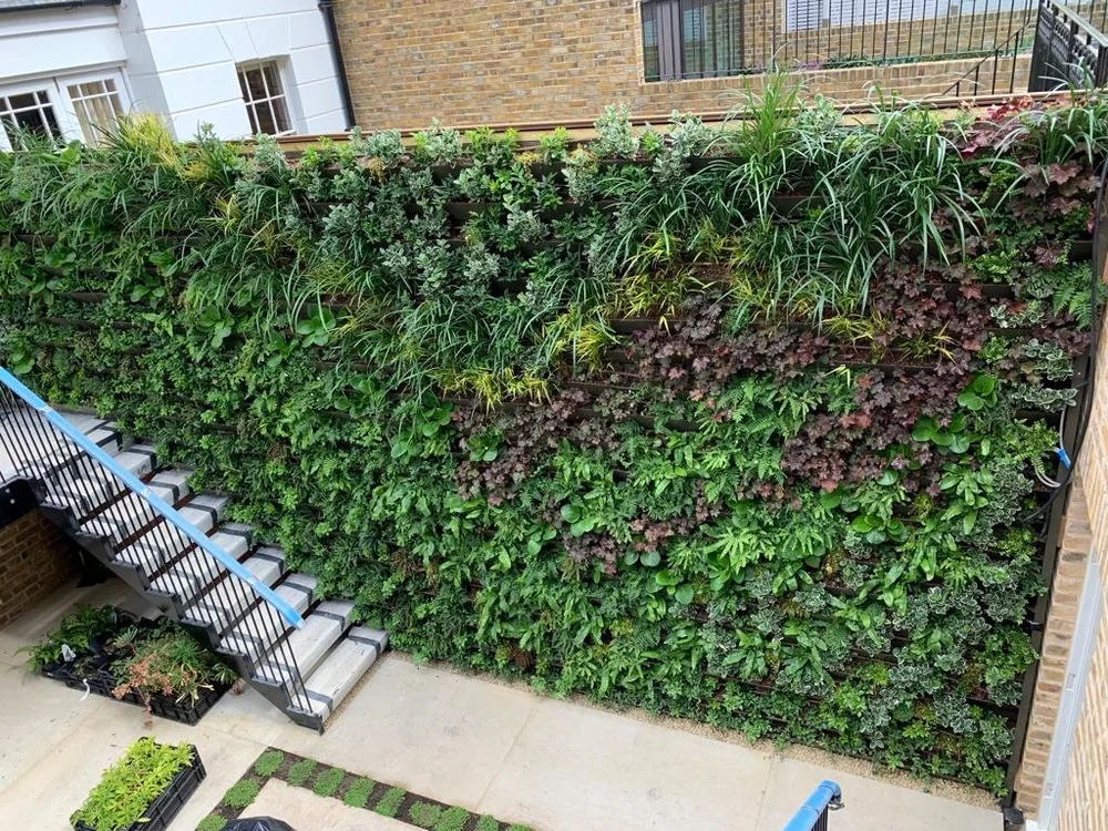 Brompton Square Living Walls
