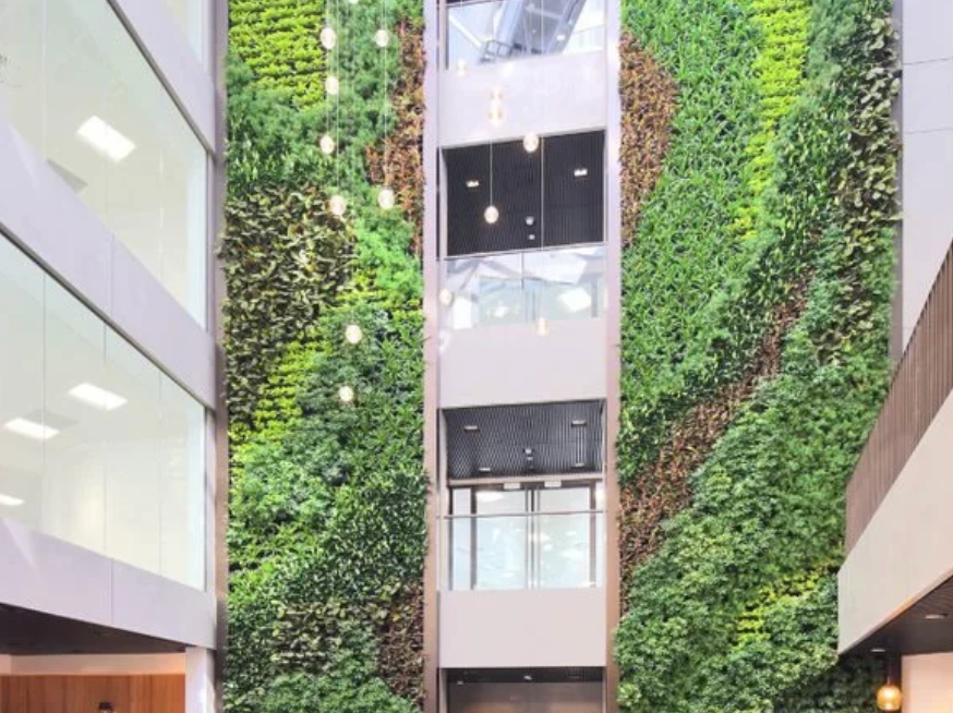 Cathedral Square Bristol Living Wall