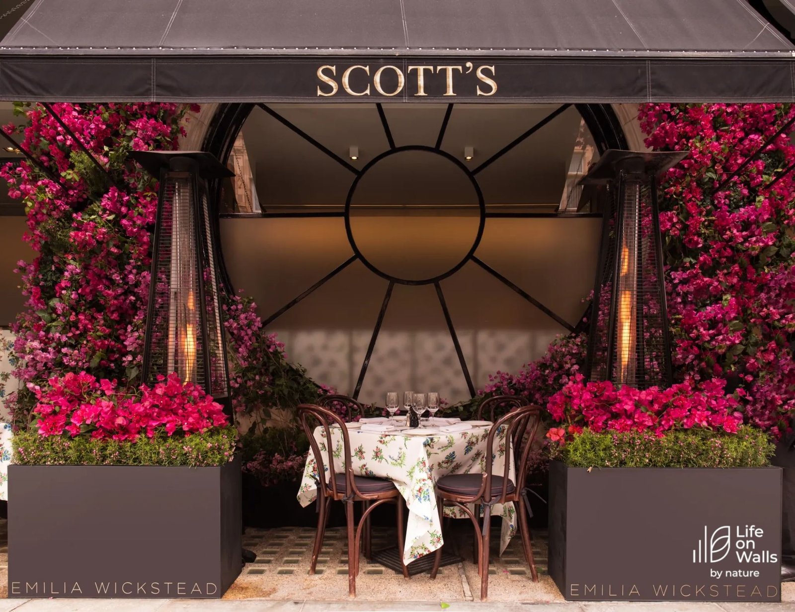 The temporary living façade dressing the Scott’s Restaurant Mayfair frontage