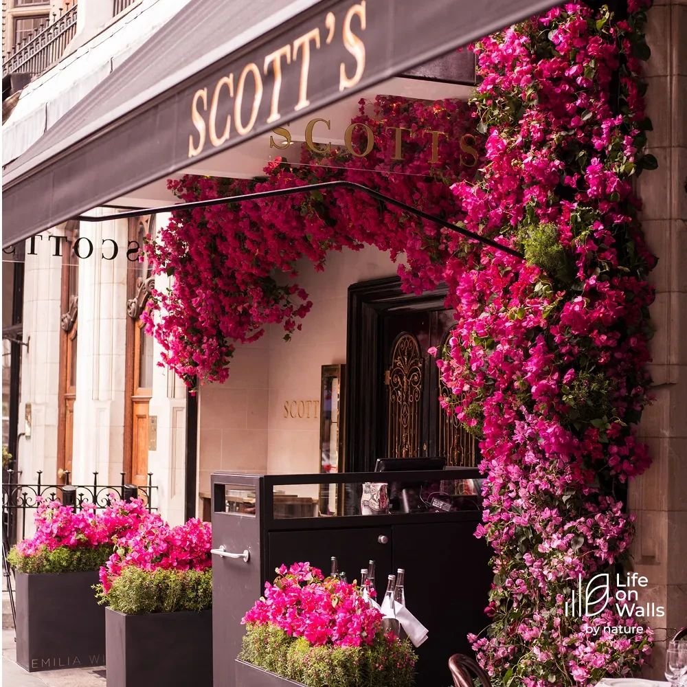 Scott’s Restaurant Mayfair Living Installation