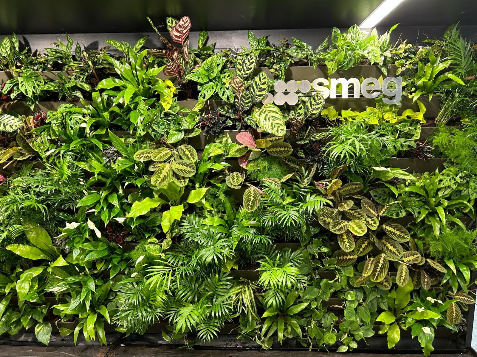 Indoor living wall installed in the Smeg office interior