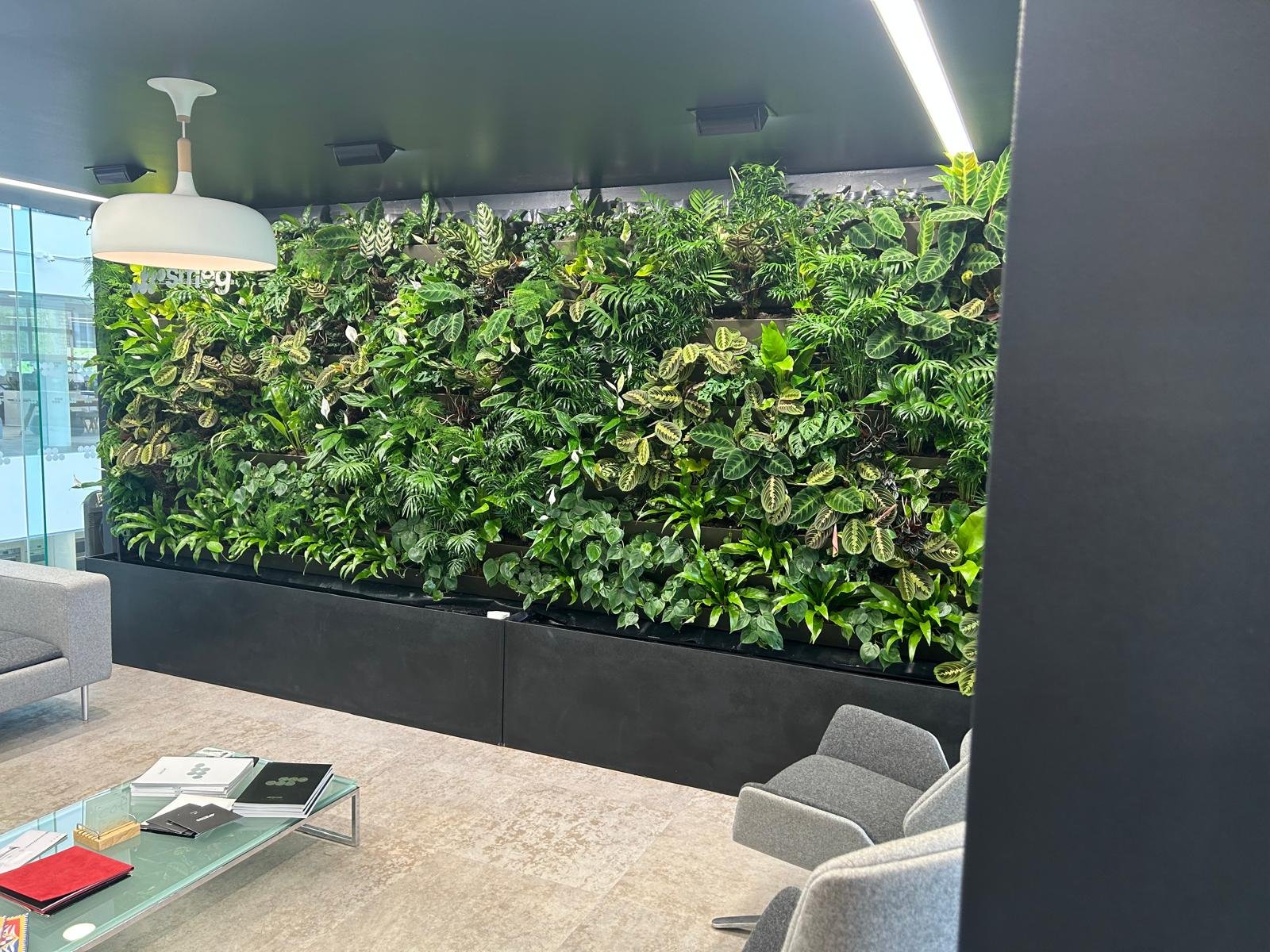 Interior office space at Smeg with the living wall in view