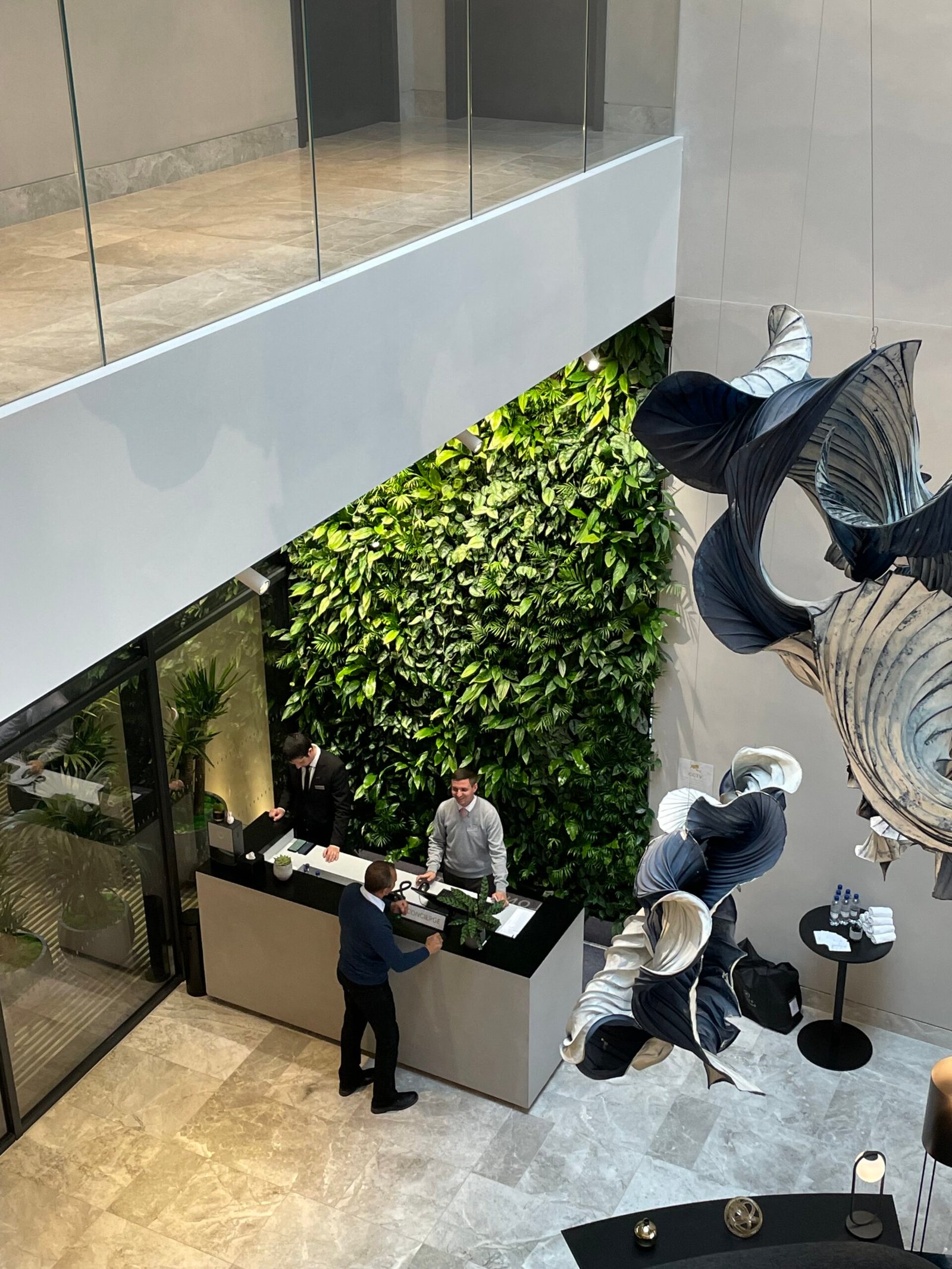 Living wall services: design, installation and maintenance in progress