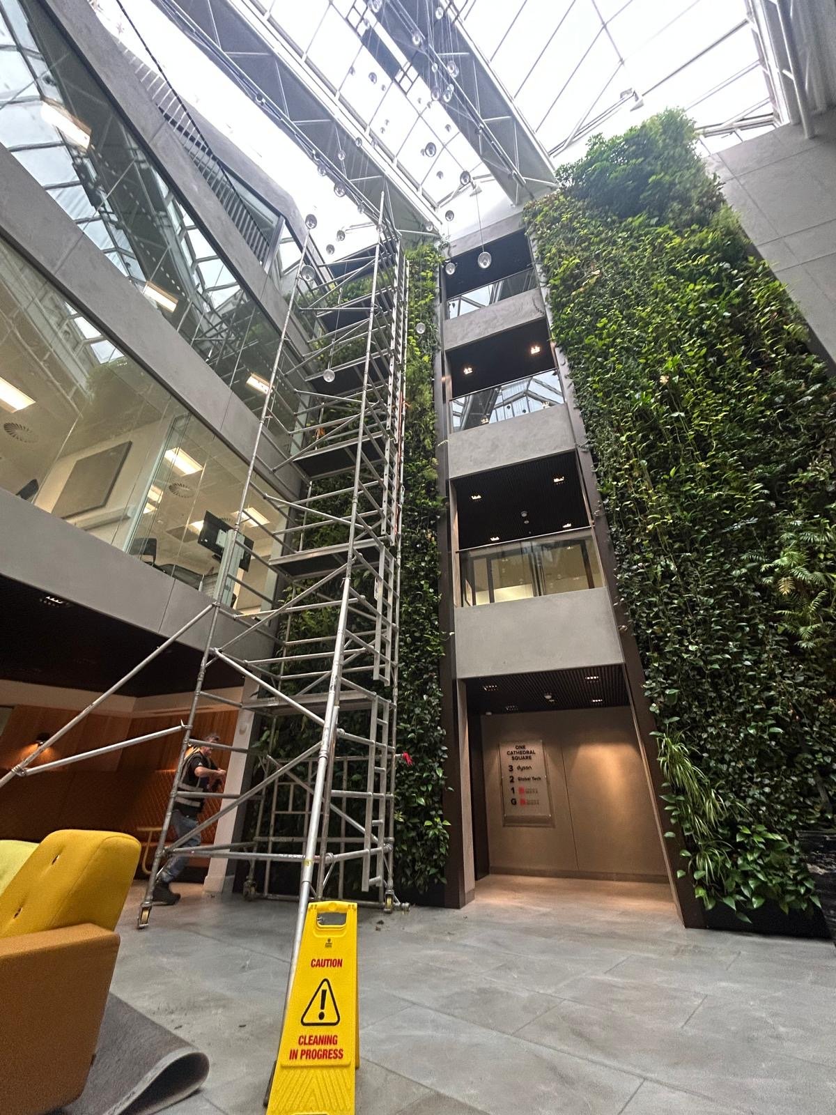 Living wall in Bristol maintained by Life on Walls