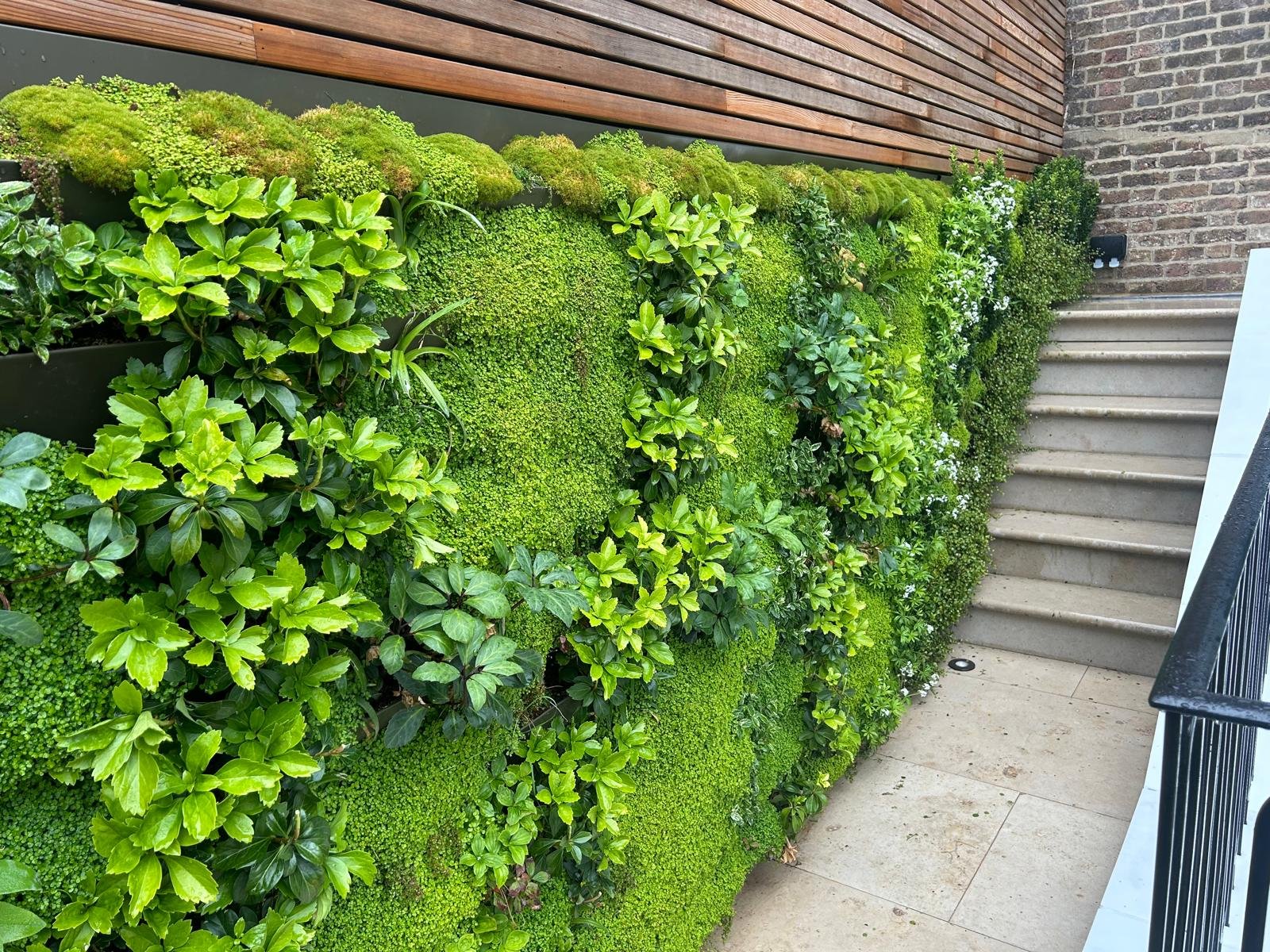 Established Channel Pro planting showing a mix of foliage textures