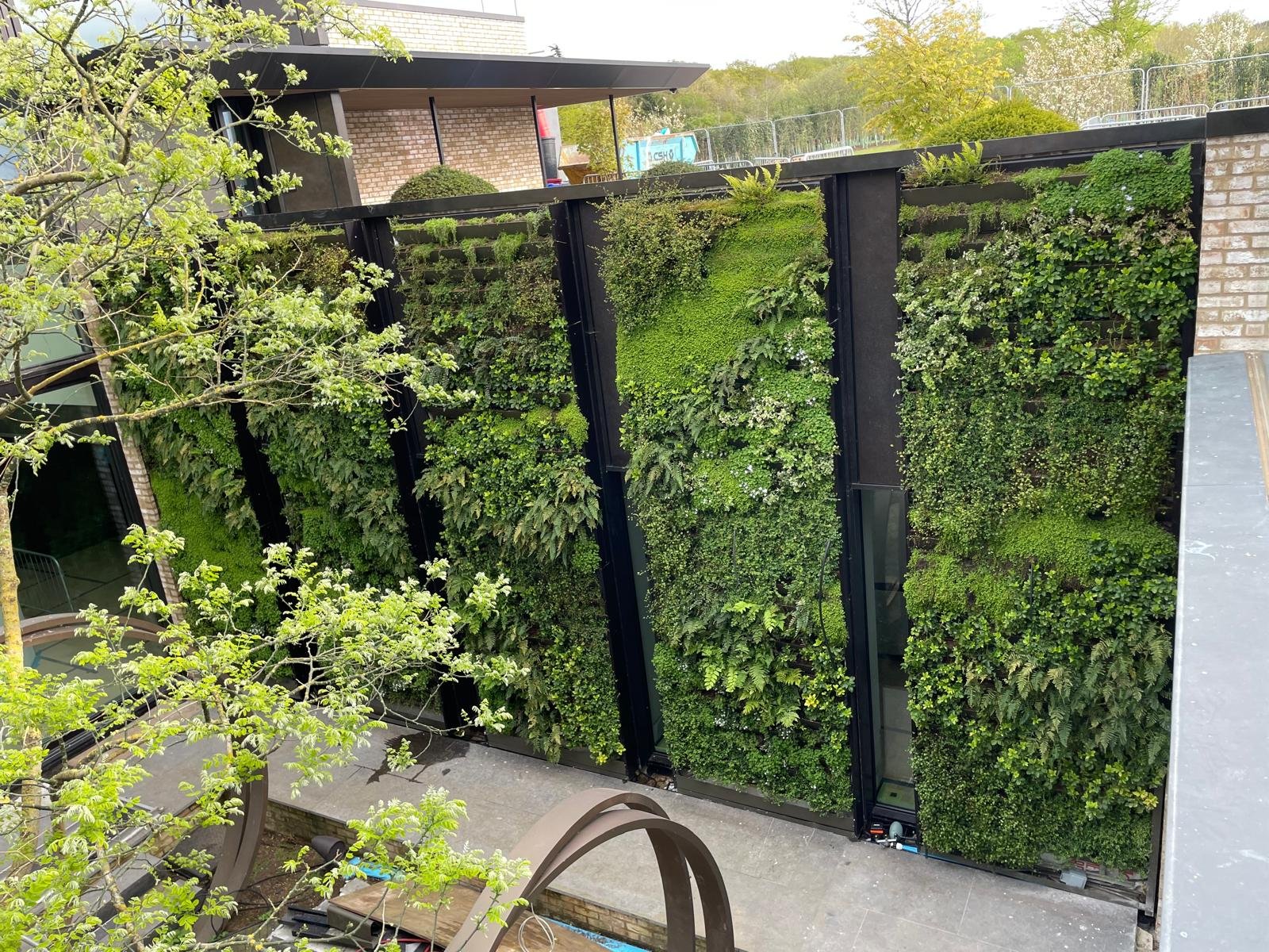 Living wall at Hornbeams maintained by Life on Walls