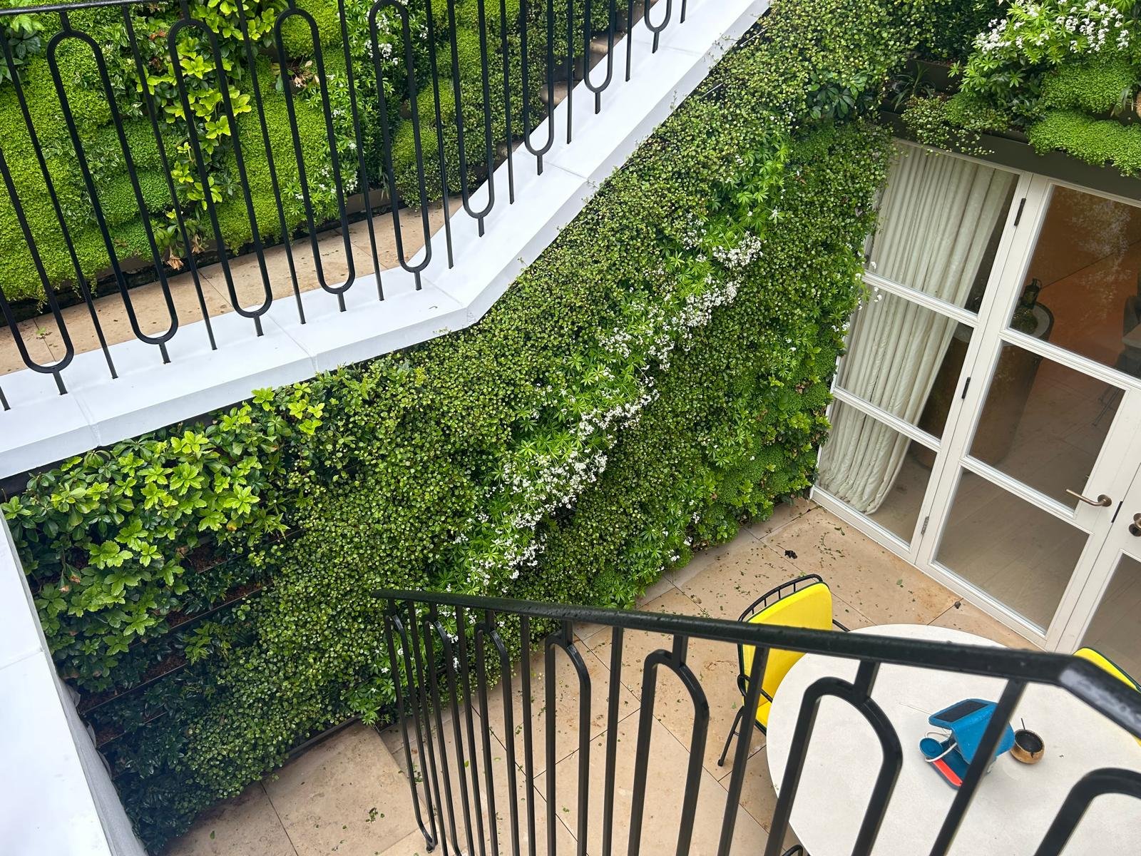 Established Channel Pro planting in a shaded location