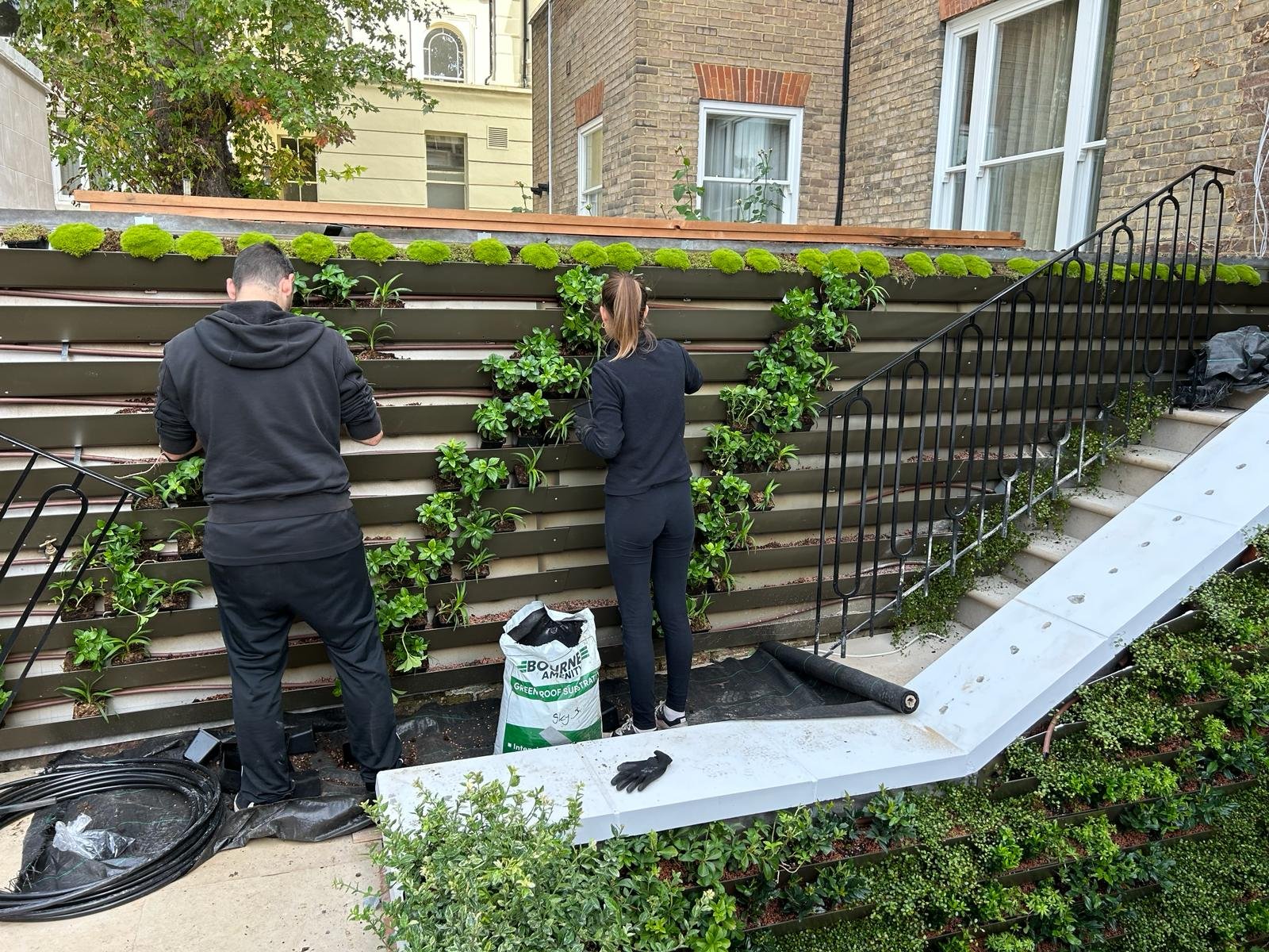 Life on Walls team planting a living wall on site in Victoria Road