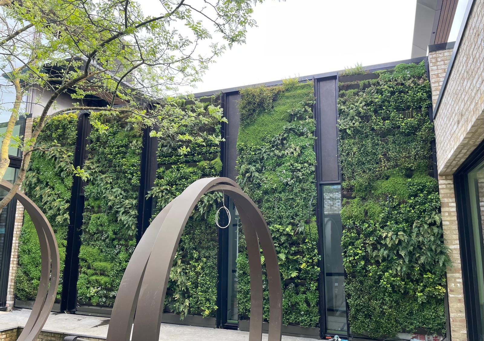 Completed Channel Pro living wall with established planting