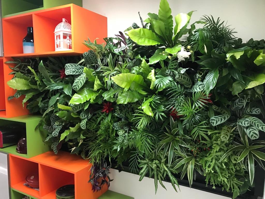 A small indoor living wall installed in an interior space