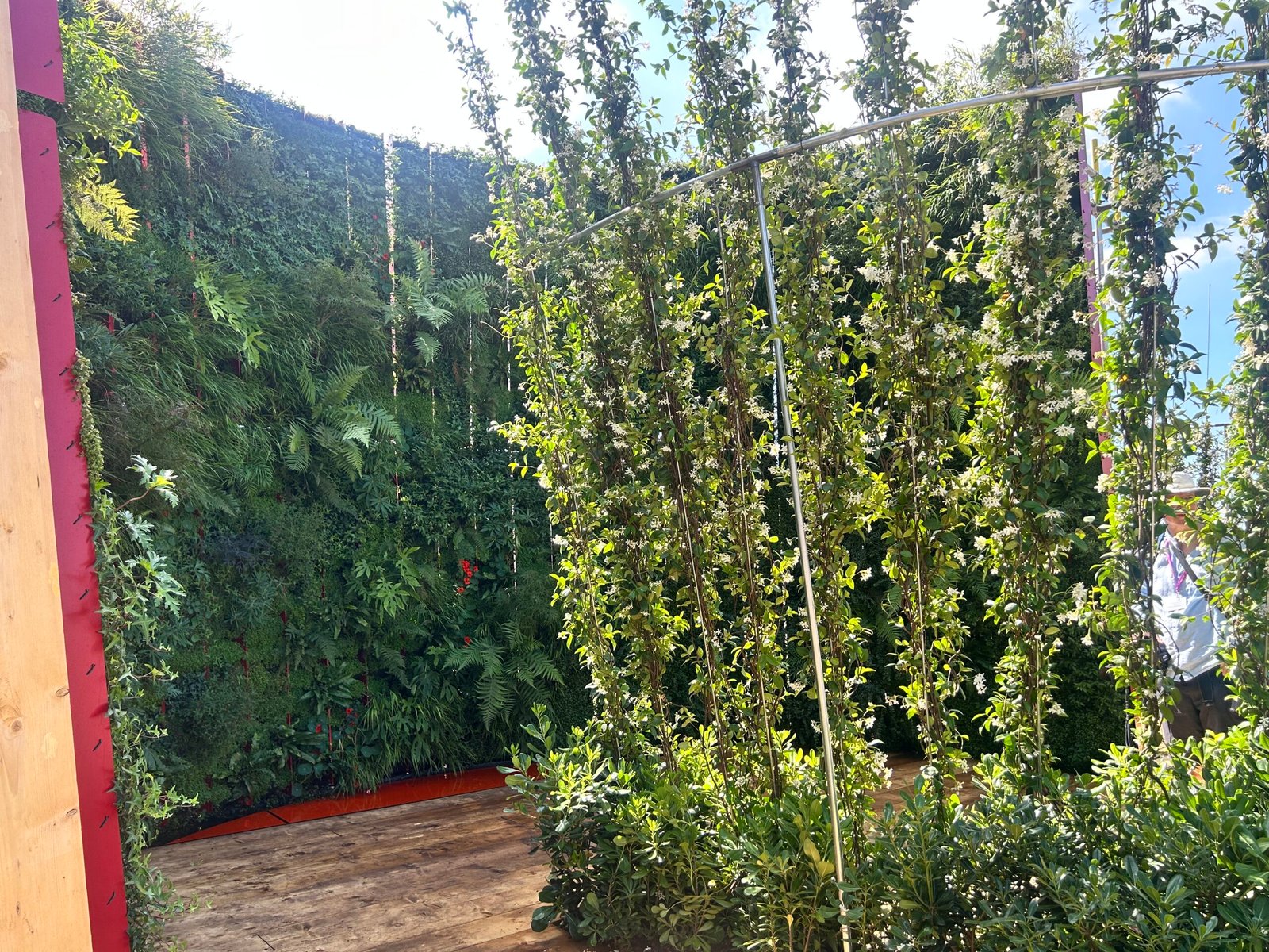 The RHS Hampton Court vertical garden from a different angle, showing the jasmine feature