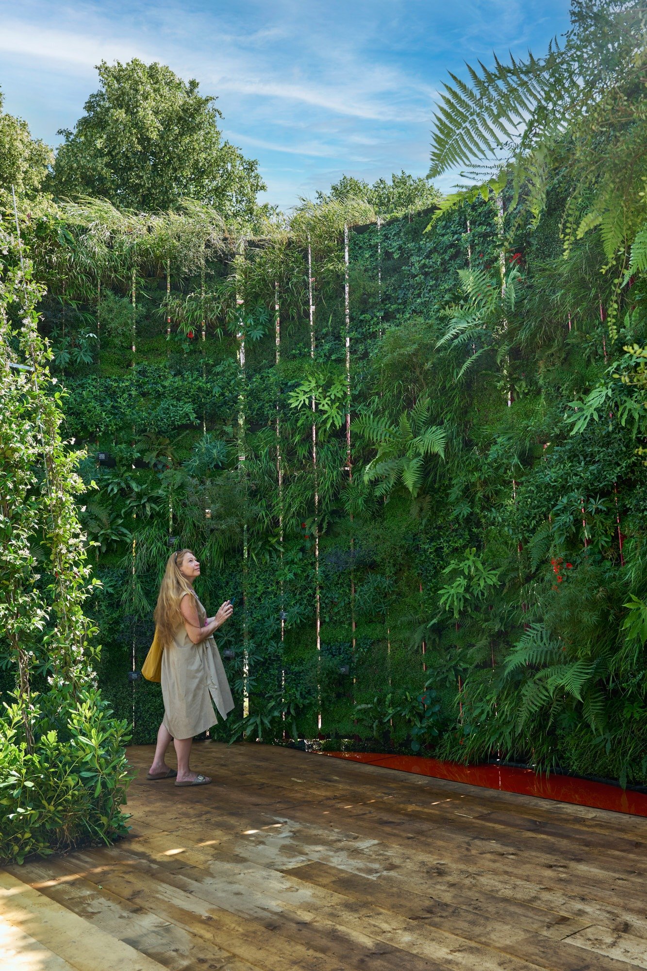 Visitor looking up at a full-height Living Louvres vertical garden of ferns, jasmine and grasses at the RHS Hampton Court Palace Garden Festival