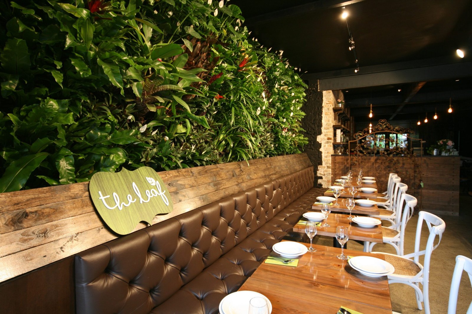 Interior living wall installed in a commercial space