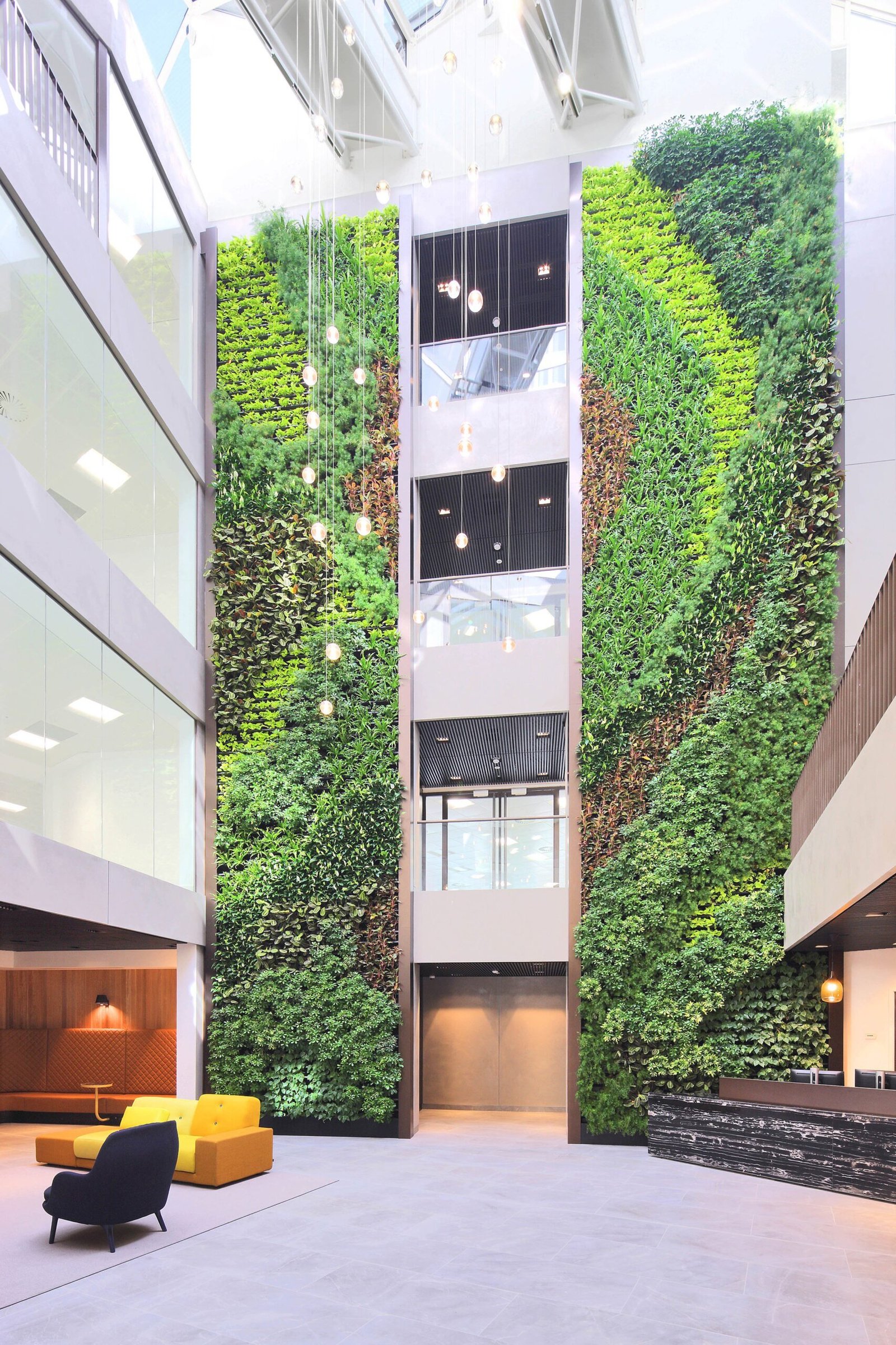 The full-height Cathedral Square Bristol living wall a few weeks after installation