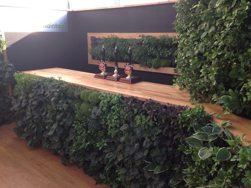 The Big Green Egg stand at RHS Chelsea with living wall planting