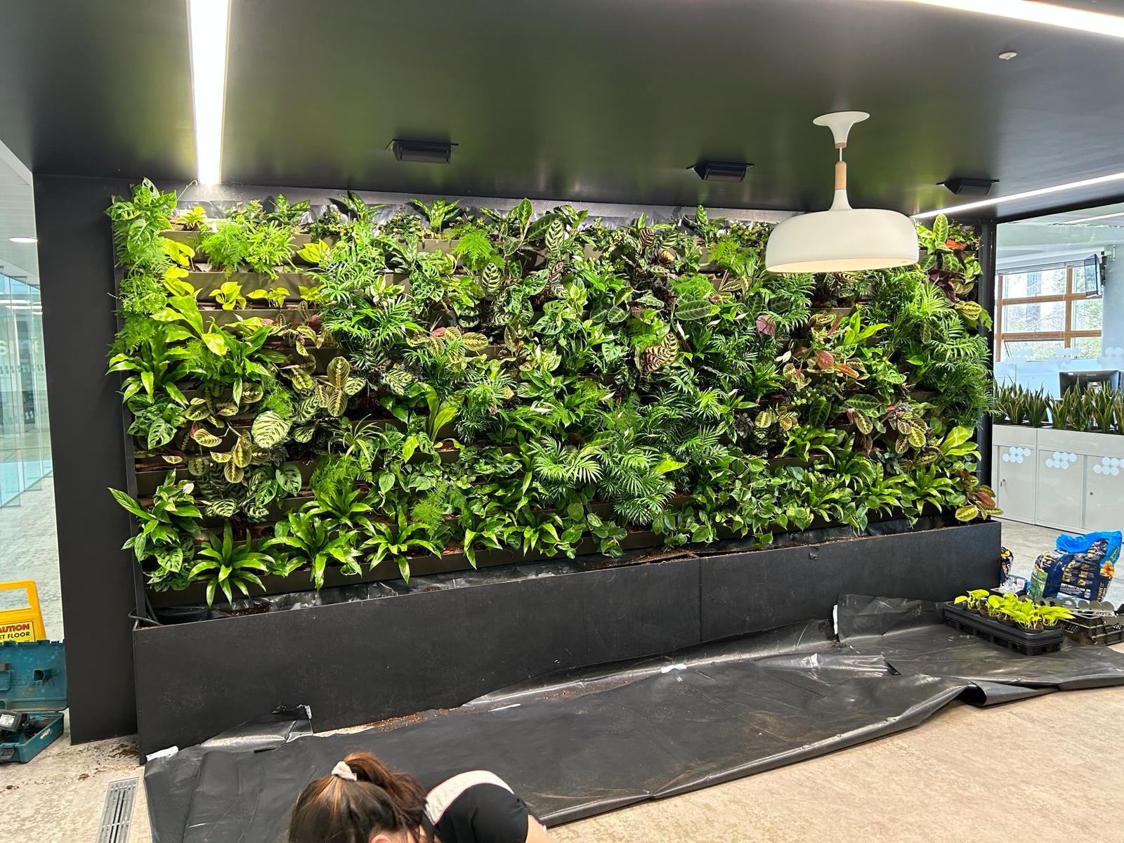 The Smeg interior living wall during installation