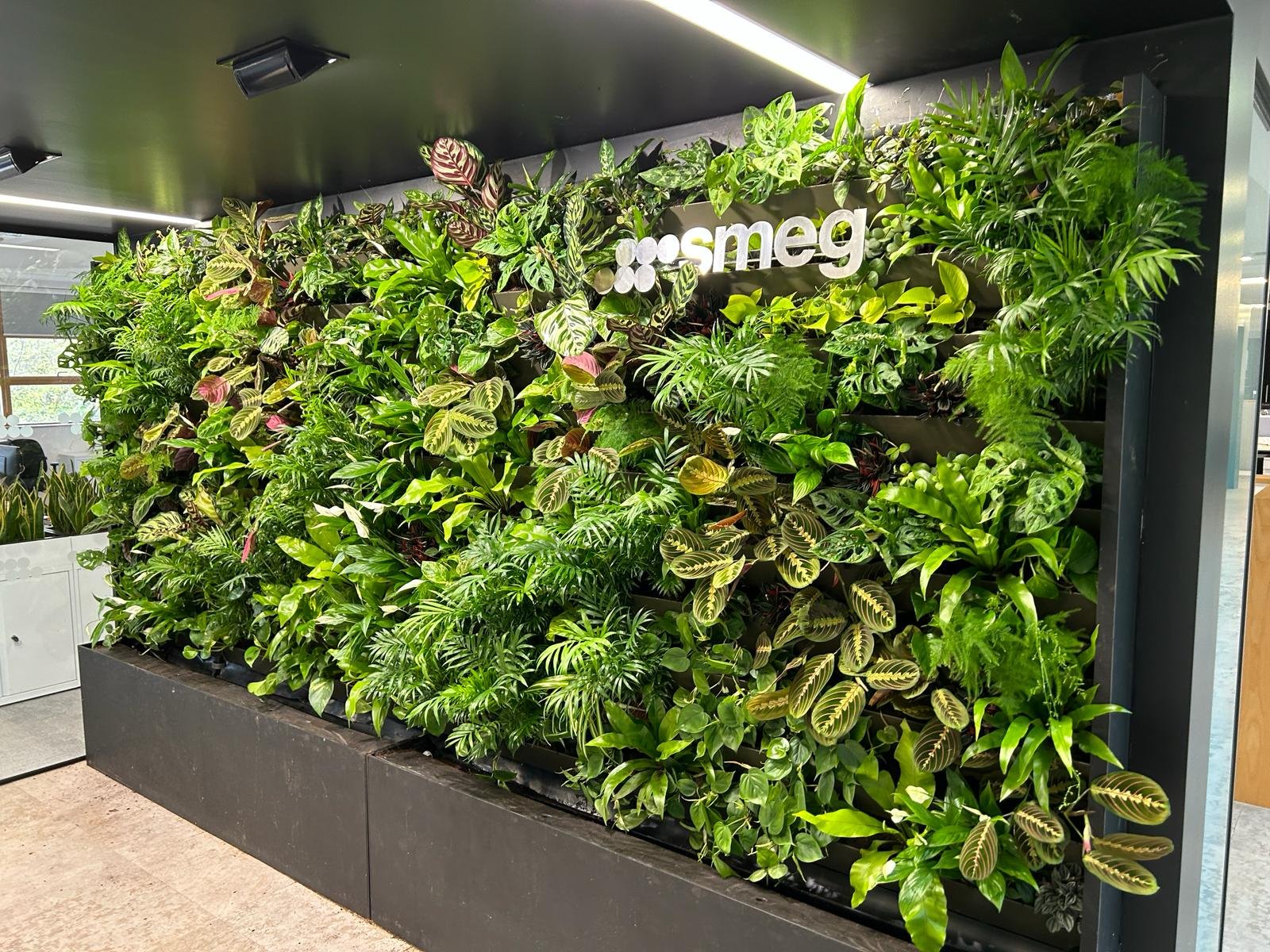 Planting detail on the Smeg indoor living wall