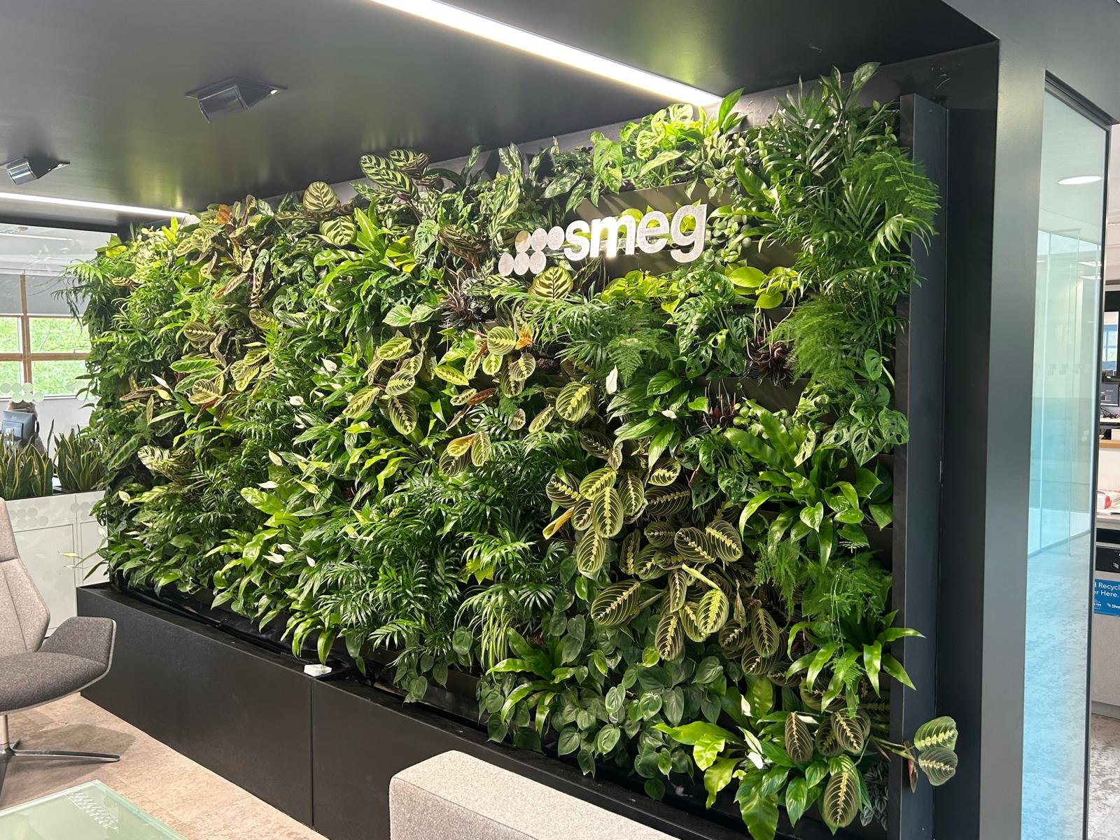 Smeg indoor living wall after planting had established